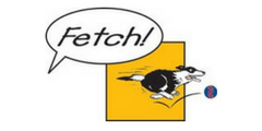 Fetch Logo